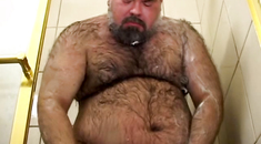 Gay orsi porno canale